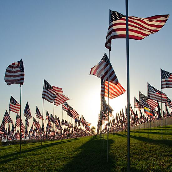 Waves of Flags