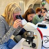 Château d’Hauteville lab