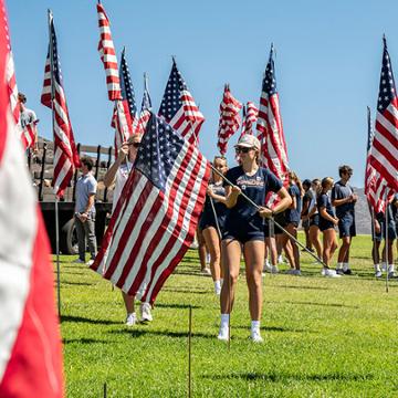 Waves of Flags