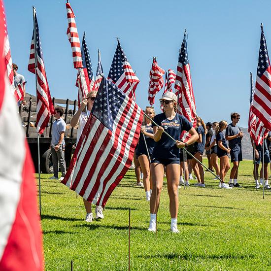Waves of Flags