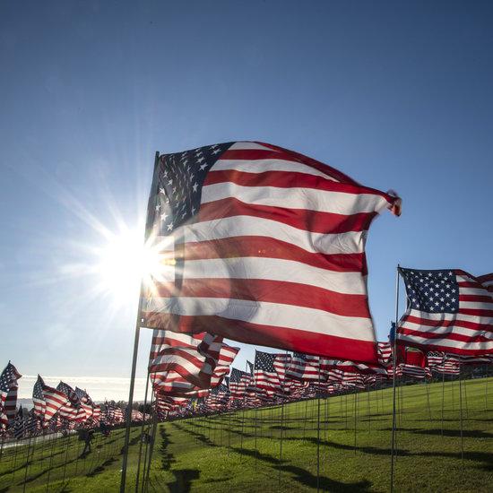 Waves of Flags