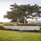 Latin American Universities to Cohost International Conference