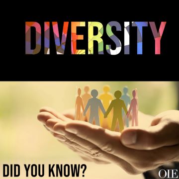 Decorative image with the top half consisting of a multi-colored background with a black textbox overlaid with the words “Diversity.” The bottom half consists of a person’s hands holding multi-colored stick people with the words “Did You Know?” in the bottom left corner and the OIE logo in the bottom right corner. 