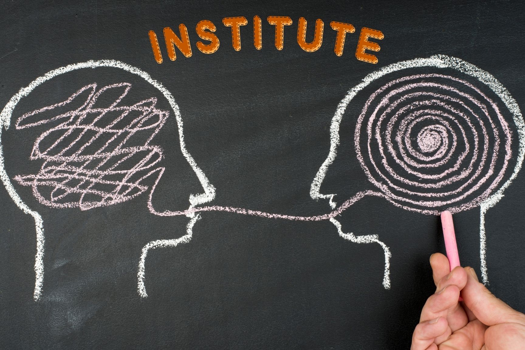 oie institute