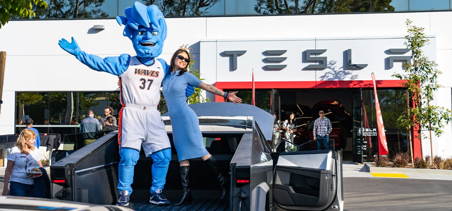 Willy the Wave at Tesla