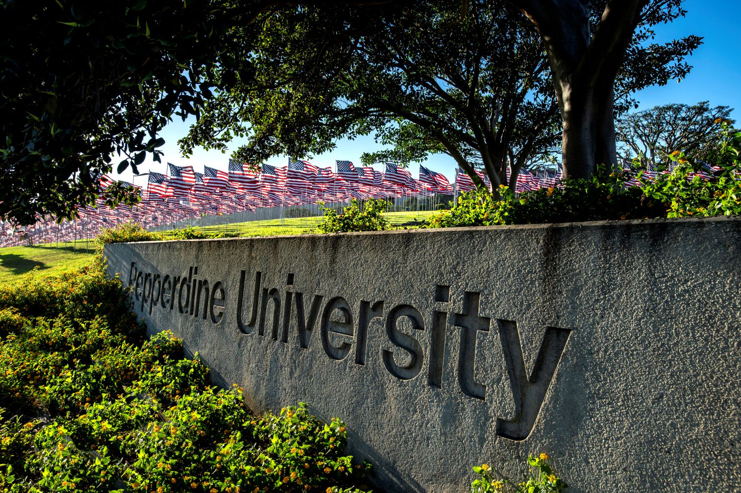 For University Partners