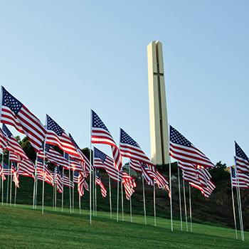 waves of flags display