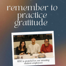 Instagram Post - Remember Practice Gratitude