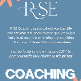 Instagram Post - RISE Coaching information