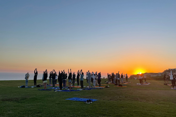Students doing yoga outside
