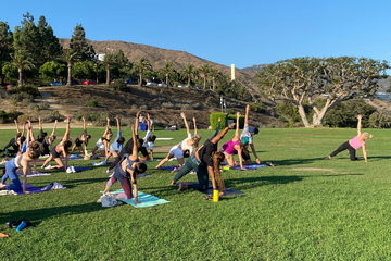 Students do yoga