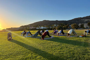 Students doing yoga