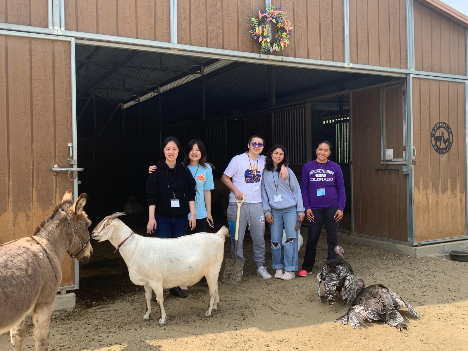 Volunteers posing at the Sanctuary Far