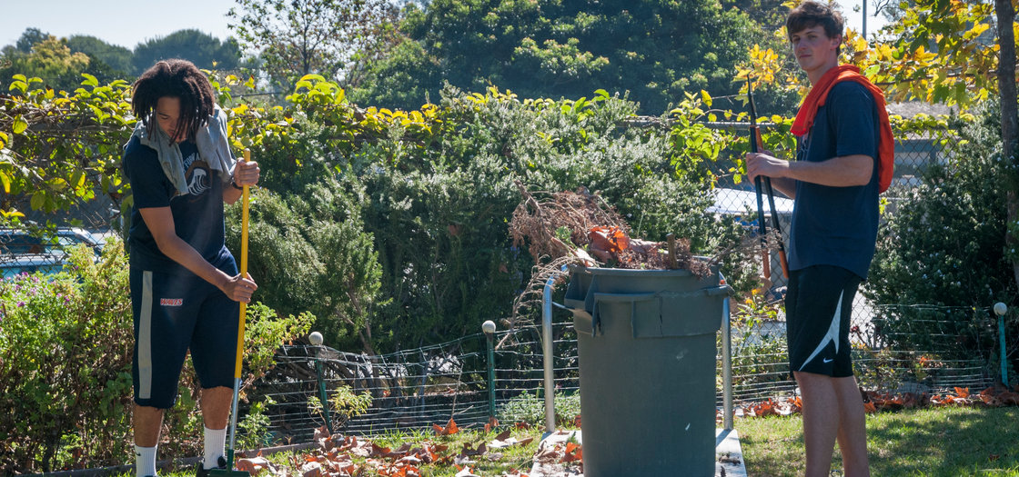 Students raking leaves - Pepperdine University